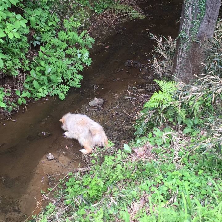 3d4c3d07 4a0d 4fee 993e b4dd9f647111 1606613768387