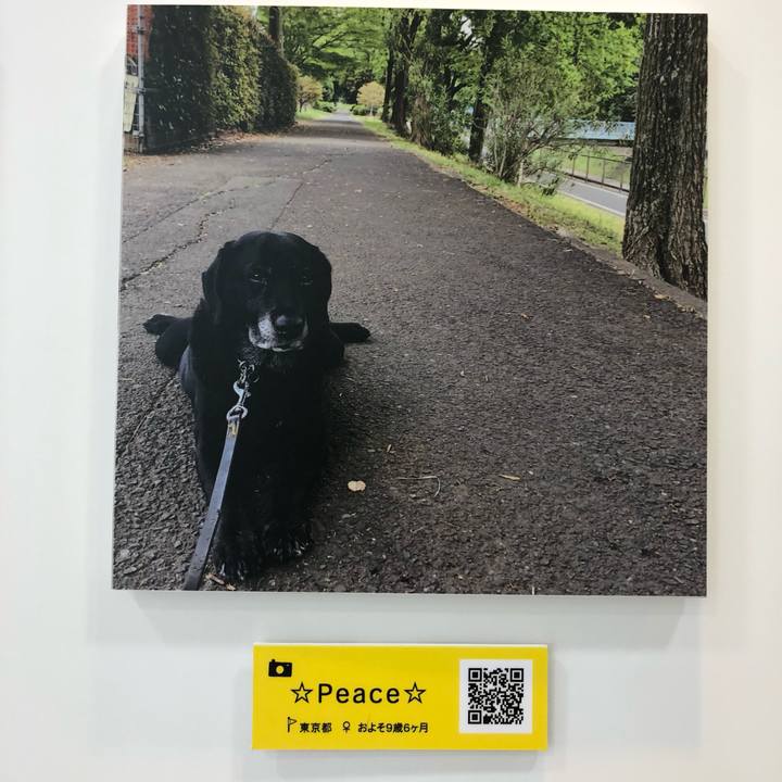 3d4c50fd 887e 4011 ae1a 42faa890d686 1560048510163