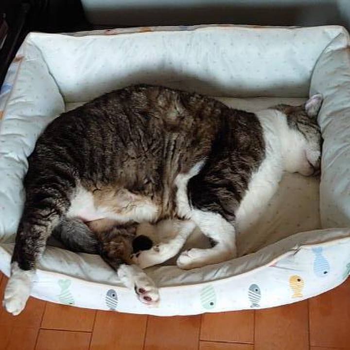 3d4c636b 6750 44de 9b9e dd8a6d6ff02e 1713245760618