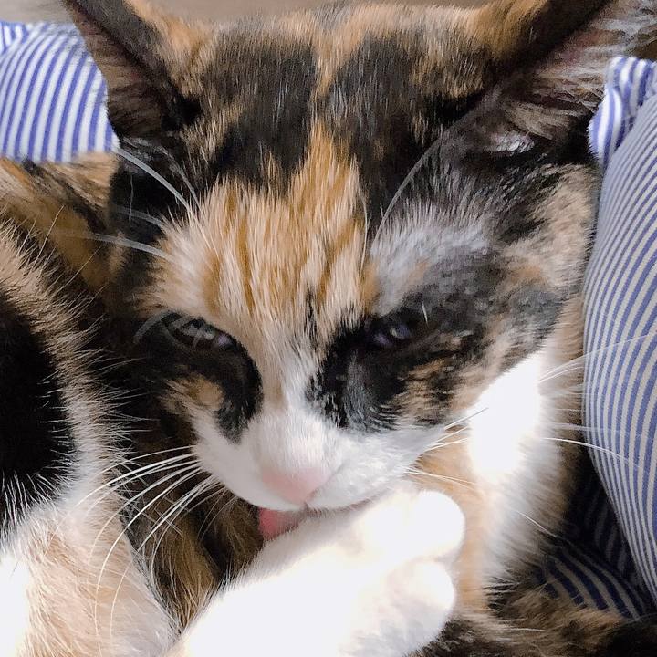 3d4c85d3 6ec4 4db7 b878 b3a844d39678 1567849501757