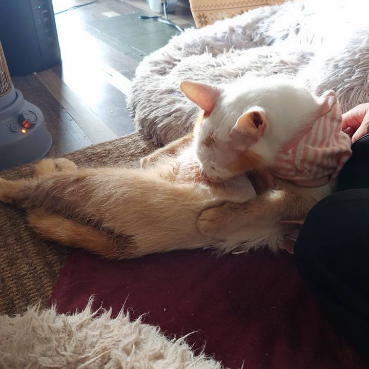 3d4ced81 6072 46f9 88f7 f73cefe10e31 1769230043021