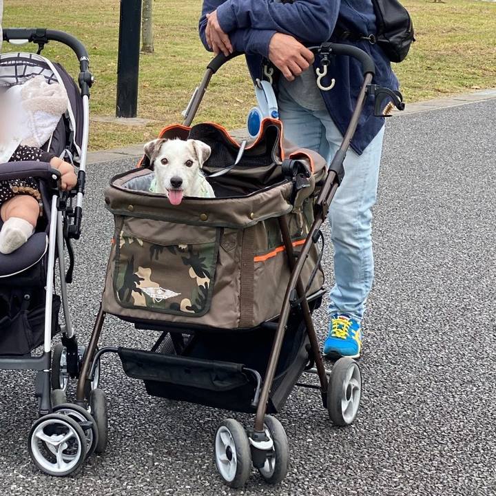 3d4cf5a5 2a6f 471b aa2b ee900d07d549 1604229118017