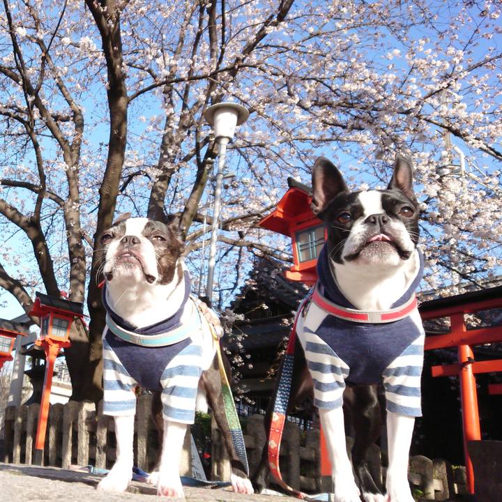 3d4d1764 938c 40f4 add7 2d3bb7201a6f 1521845515821