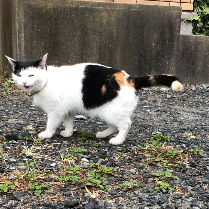 3d4d1d3c 3985 4f18 b274 2b05669590c6 1606343592130