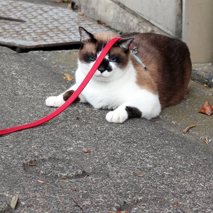 3d4d4ef7 db08 4aaf b67b b978ddb09119 1515452720338