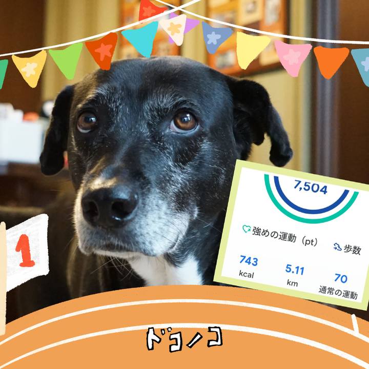 3d4d7185 3c06 496e 95a3 3139d64acc56 1761181382000