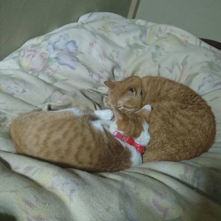 3d4d73d9 9f40 4053 b2ed 5e1733c844cd 1741178926752