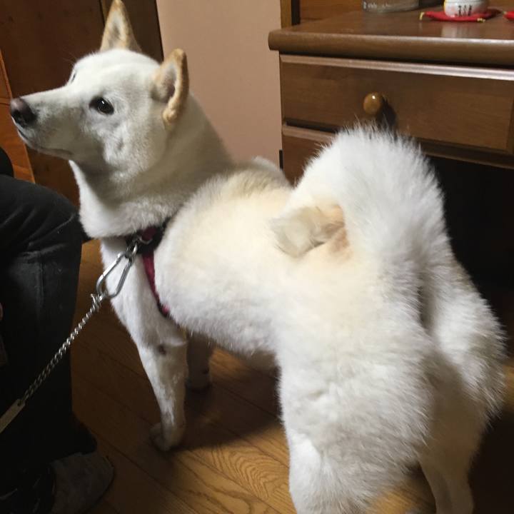 3d4d858e 203c 423a abd0 09e13cdf3719 1538867957395