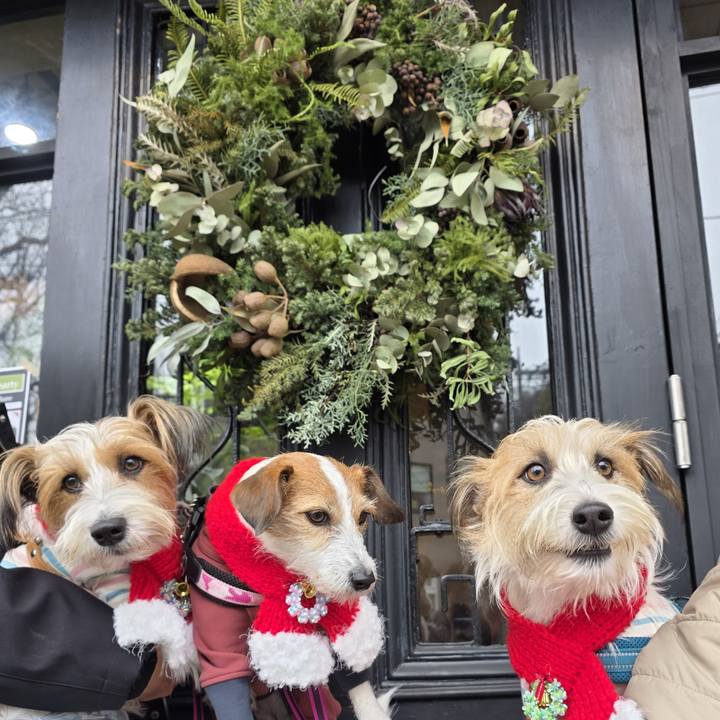 3d4da827 0bed 4e9b 9b35 c1e7b1870c83 1765698677313