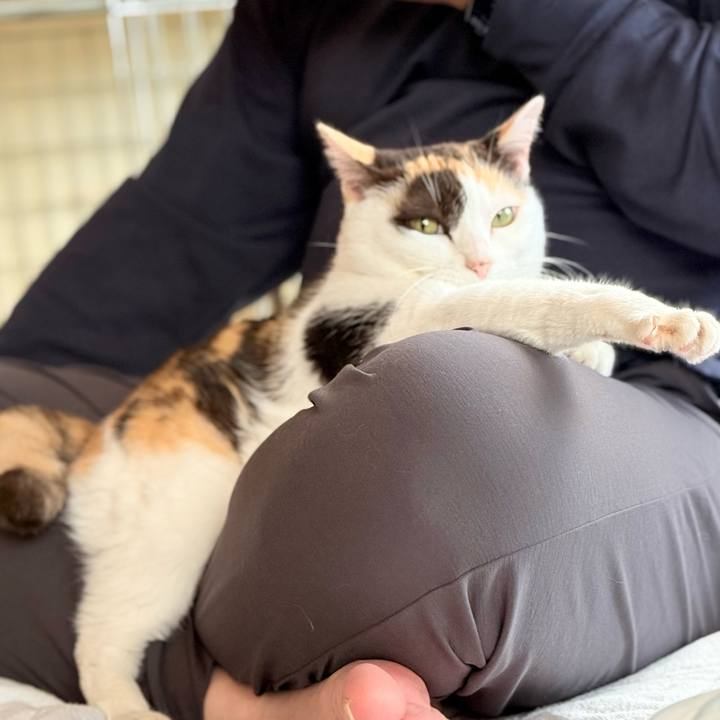 3d4db418 ca7f 48fe a862 ef1259093bc9 1731633803893