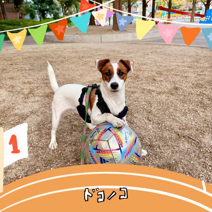 3d4dc618 4b49 4d90 a3ab 24ad526725be 1764220306359