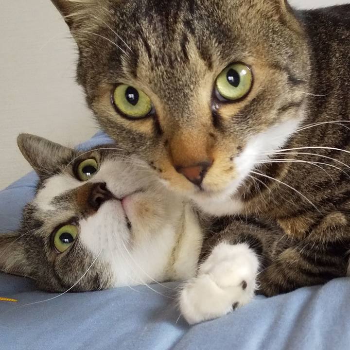 3d4dca62 3552 437d 9356 41bf9e6d7c8e 1653090393266