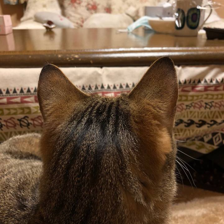 3d4de226 3275 4576 9f13 faa394a7adff 1522282661717