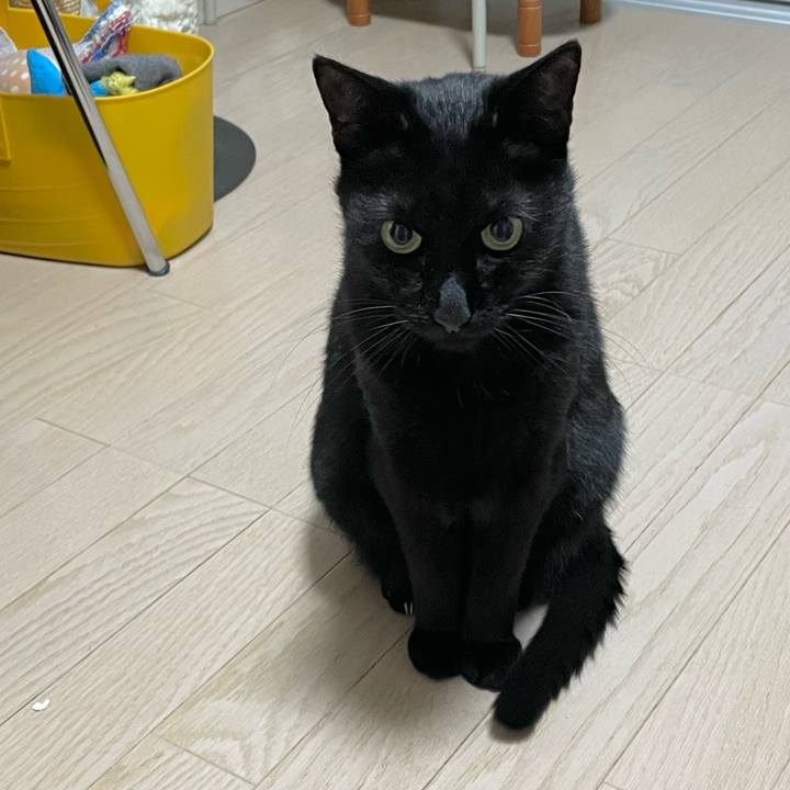 3d4e5dbf 0273 4976 ad98 35de02b030a4 1764162662862