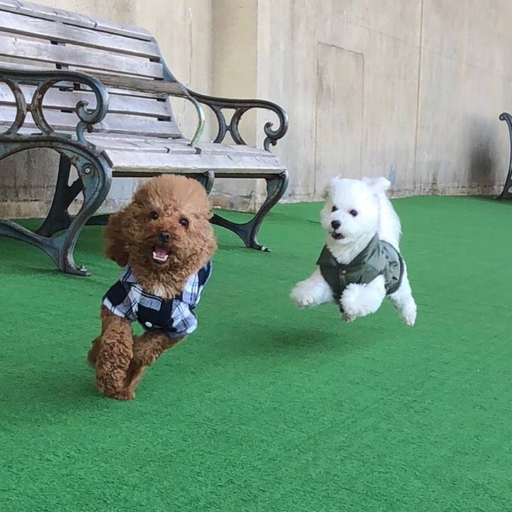 3d4e70f3 a4d6 4106 8303 e98d96a7b8c4 1519743378654