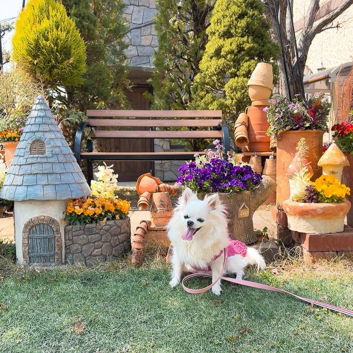 3d4e778a a629 4bda 841f c40248f0e152 1775097219444