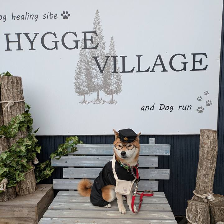 3d4e8d1e 841c 4f1d b678 5e528b62319b 1741588283026