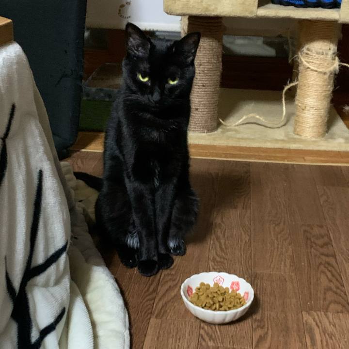 3d4f01f2 e873 43b8 ad73 0b4969f6de3e 1587475398013