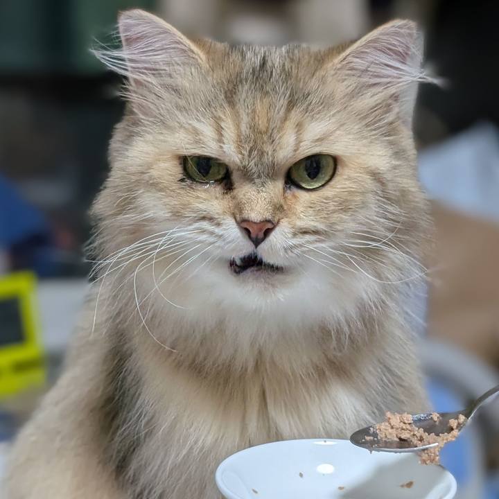 3d4f20be b03b 4aff bf33 5cff3cc5037d 1755611831278