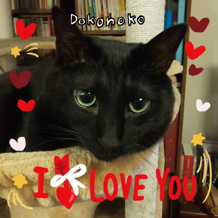 3d4f3078 55c2 4b89 bb8e 34a9c5f84dfd 1706824817793