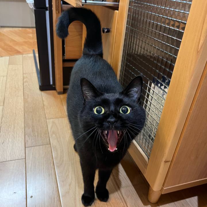 3d4f70e2 e1ab 45ea 9886 cb1c50ffb755 1662121959171