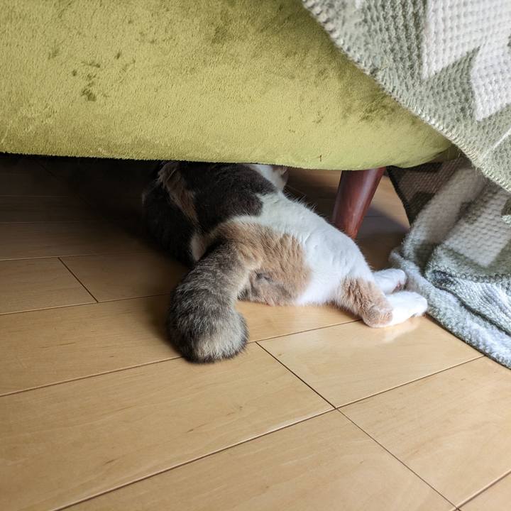 3d4f7527 843a 4097 913c 7298b30da45e 1693282661124