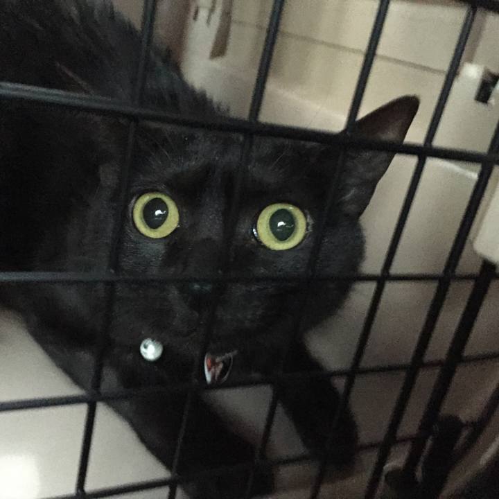 3d4fb069 6e97 4055 af8b add763203412 1524540348138