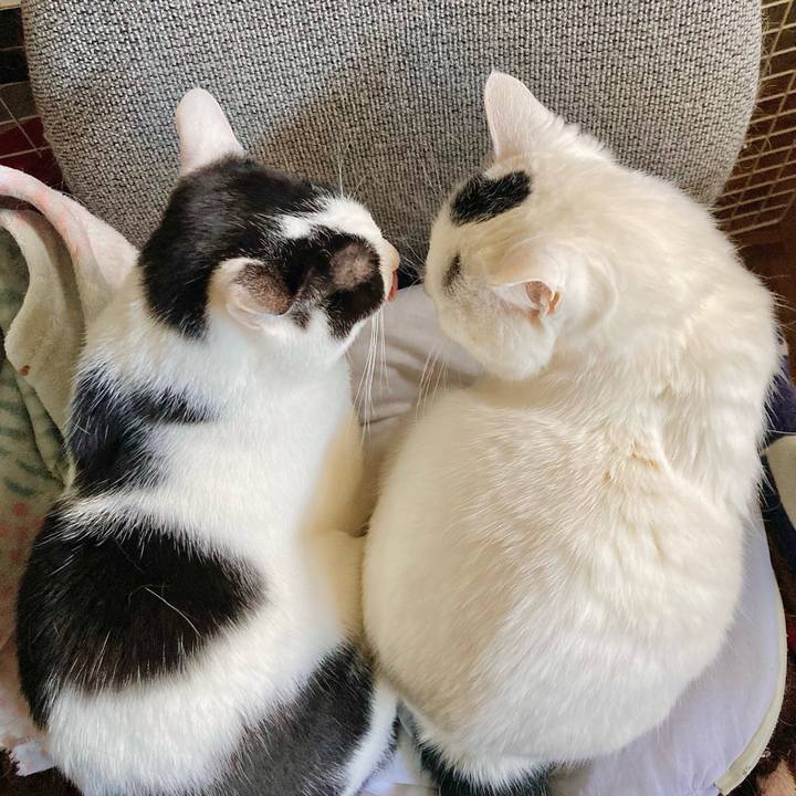 3d4fd698 74a9 4dd6 b12c 5d27e047b8b8 1679275031093