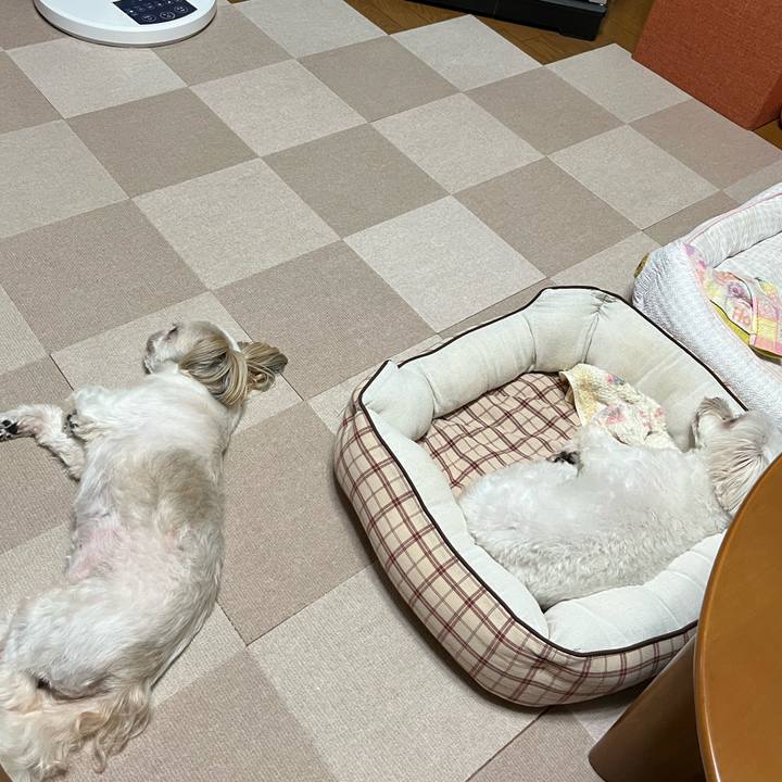 3d4ff0a7 7333 4604 a79d cf15eb0ad721 1660735391103