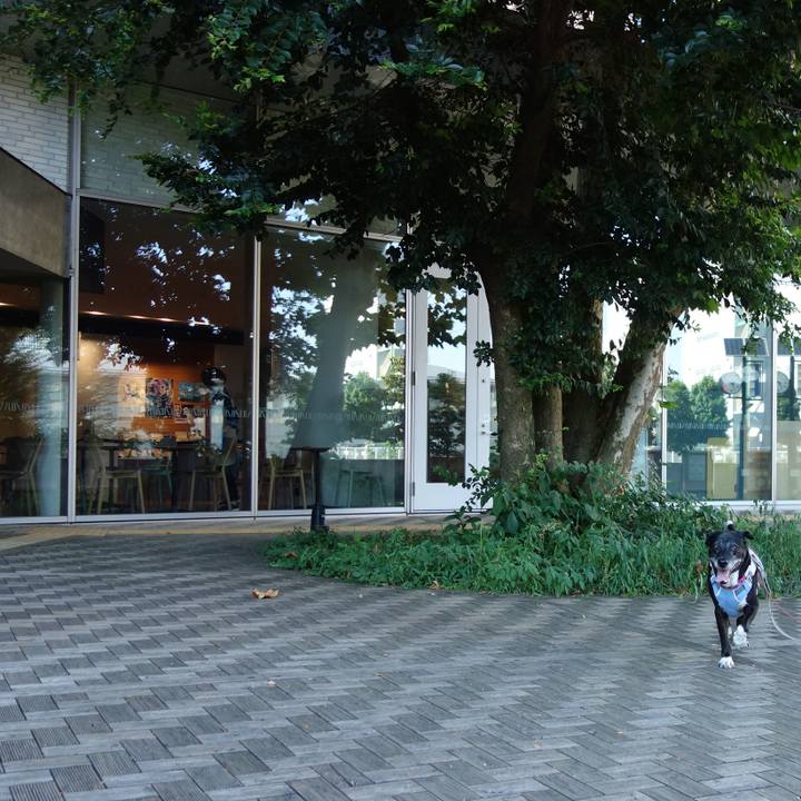 3d4ffc87 63d7 4683 9593 fc189243ea49 1753487509370