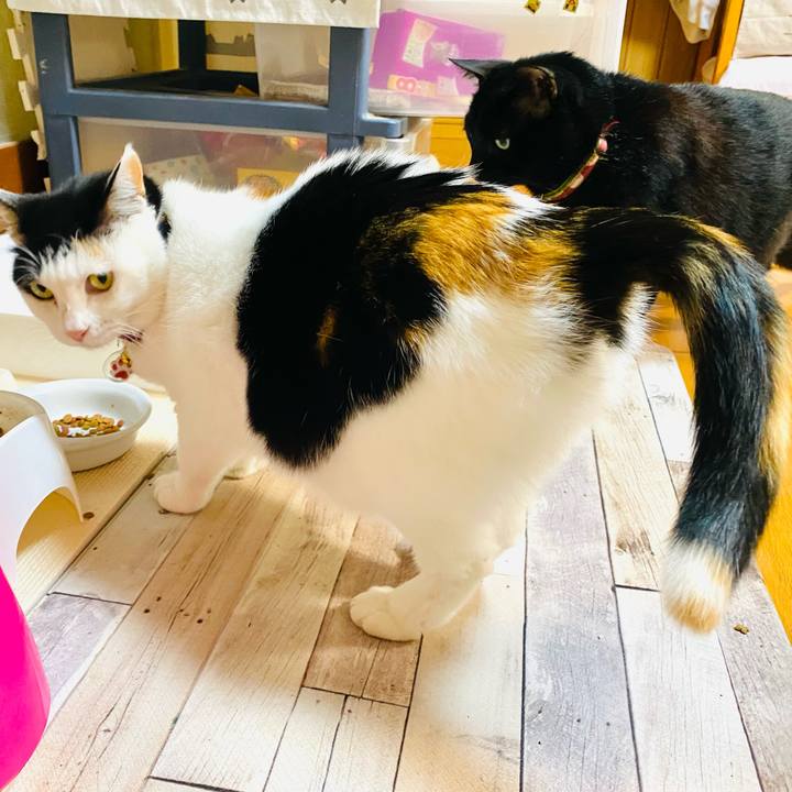 3d506349 105a 4193 988a c63a783601b7 1706794421966