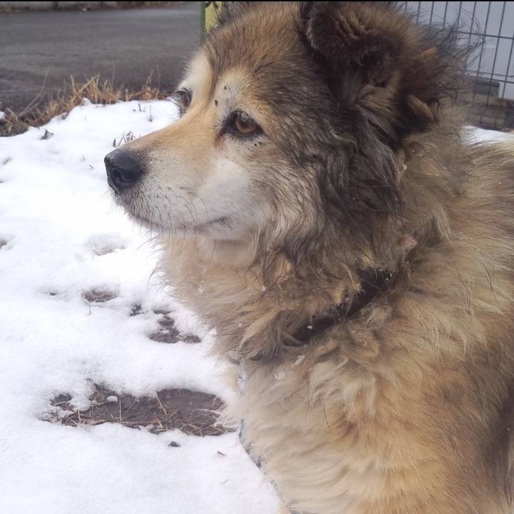 3d50659c 2caa 4151 818d d01f4cb9d342 1632546221408