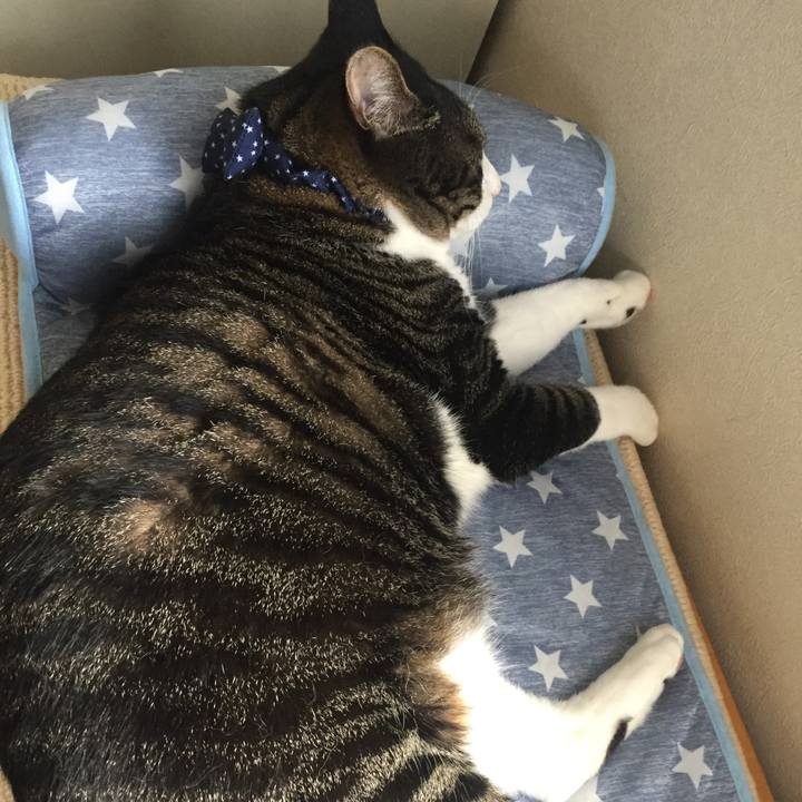 3d50776e a2d8 4e60 a49c 29bcc0b52777 1532097268630