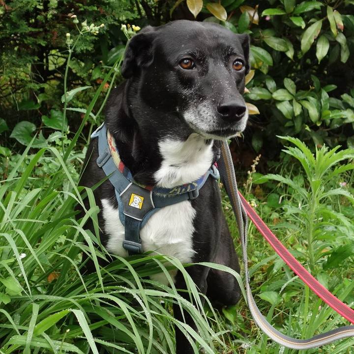 3d50876b b54e 49c9 a824 903a77546c4c 1715821850621