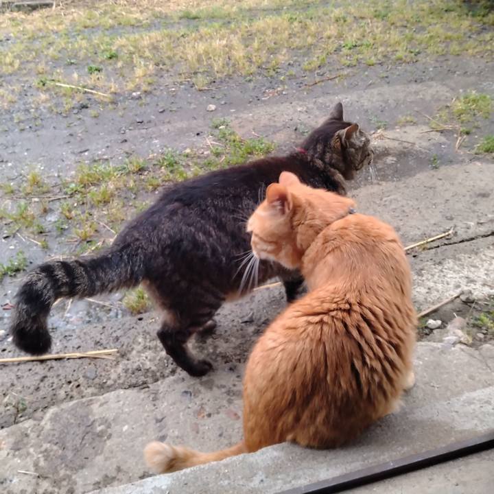 3d508906 a590 476a 8e0d b2c931e4dd08 1686476871854