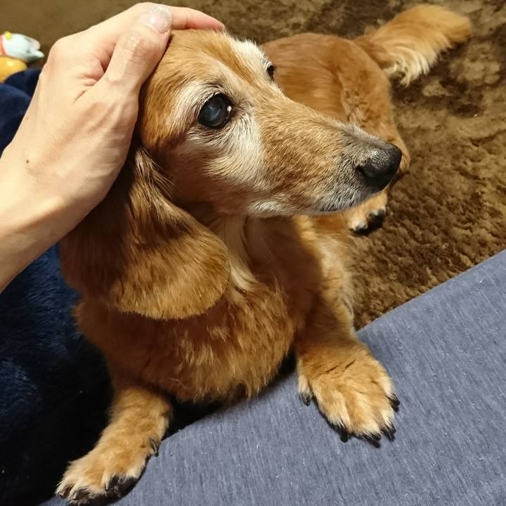 3d50c21e 3177 45c6 8181 3d4d115b7ee2 1512288895278