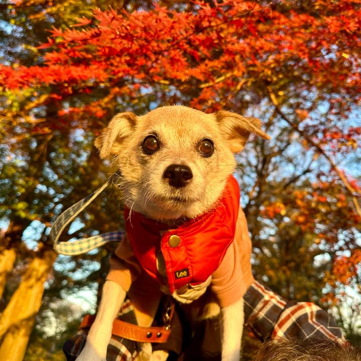 3d50d971 d6ac 4791 a6e5 809190ff7224 1733475317337