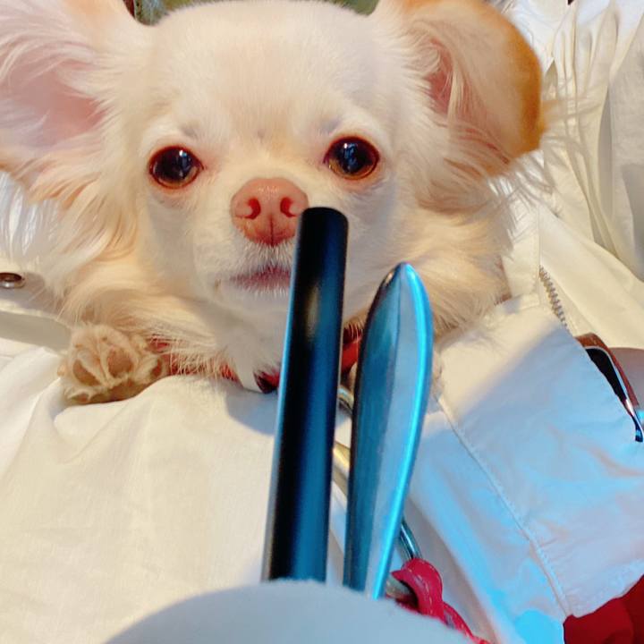 3d50da94 dec3 48b9 9515 ff653ac0ed4d 1636551392004