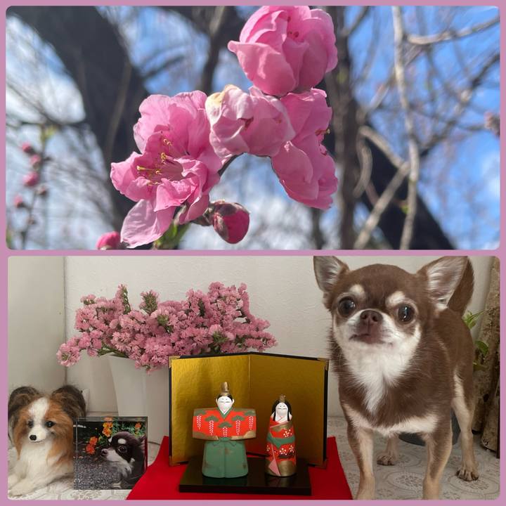 3d50f377 f2bd 4e72 9afb 6902130b299b 1740883051491