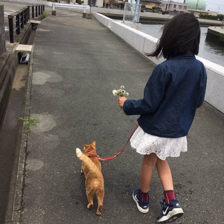 3d510402 af60 459d 9f94 c793ee30166a 1558277387587