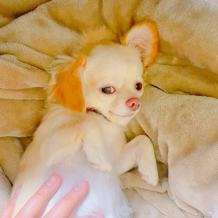 3d510f02 b949 4204 b474 ea0383be523f 1631195090623