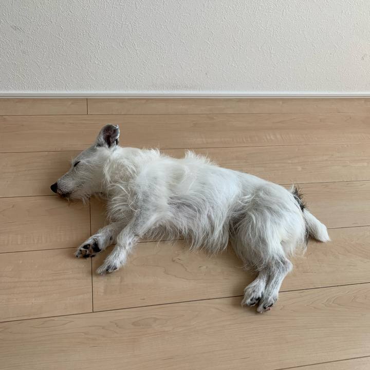 3d513893 1f23 4549 8314 7d5d97df438d 1687926848776