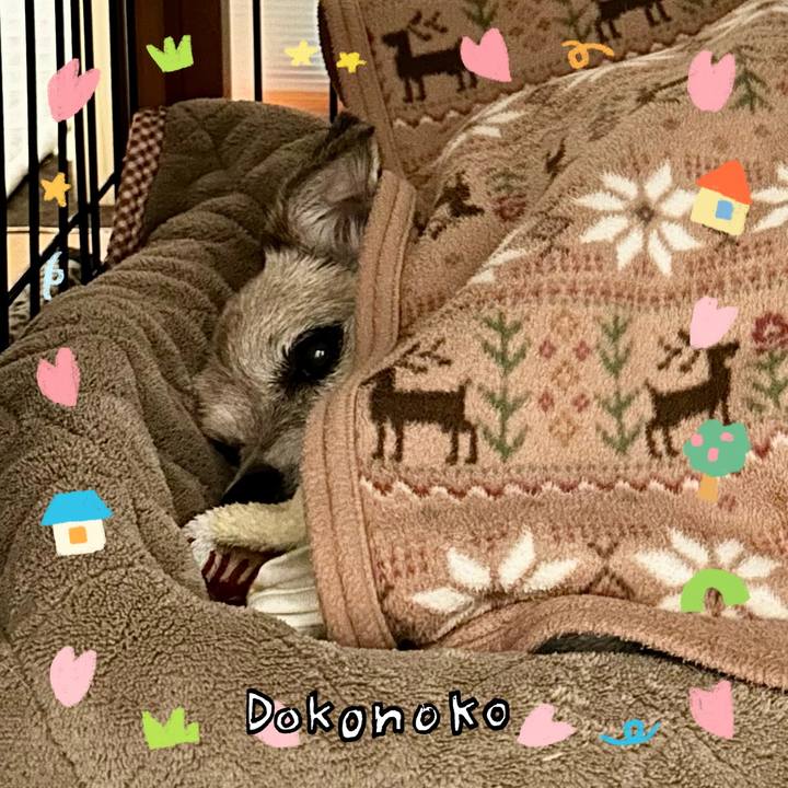 3d5143f5 0ee1 4487 affd b926a1d2aa14 1741658507172