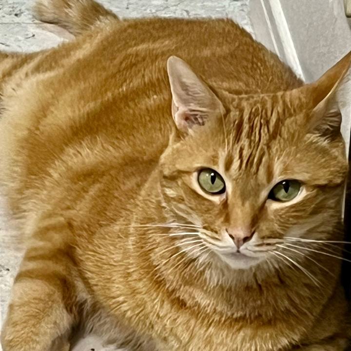 3d515b3e 50da 4a51 9a68 9d6eb8cb0be2 1690102381931