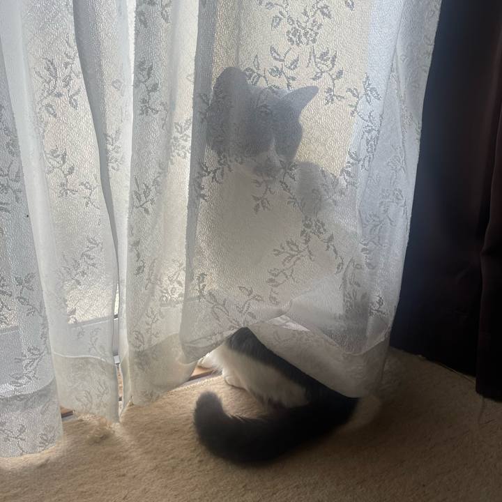 3d518e89 04c5 486f 9cac 63ccbe8c1c61 1681956101784