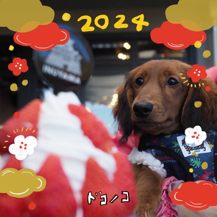 3d518f13 a244 43b2 8051 ed7614b7aa41 1704111835003