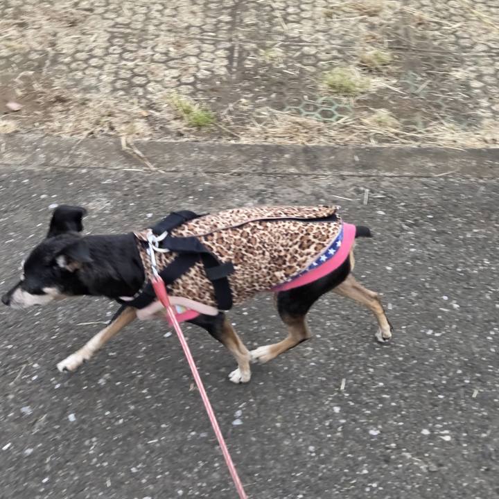 3d51b74c 1488 456d 8d6b 2687bd3cd364 1760395925366