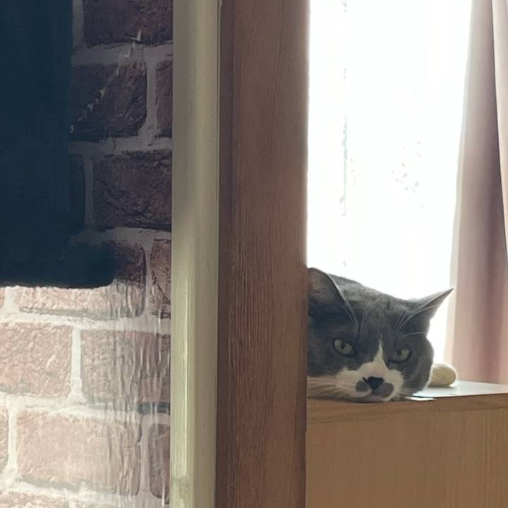 3d51d502 29ba 4eff 9972 cc7dc3362a37 1662943365933