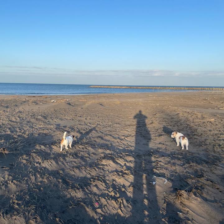 3d51e43f 7ad5 4f00 9bcb 79a61edfb338 1702079191752