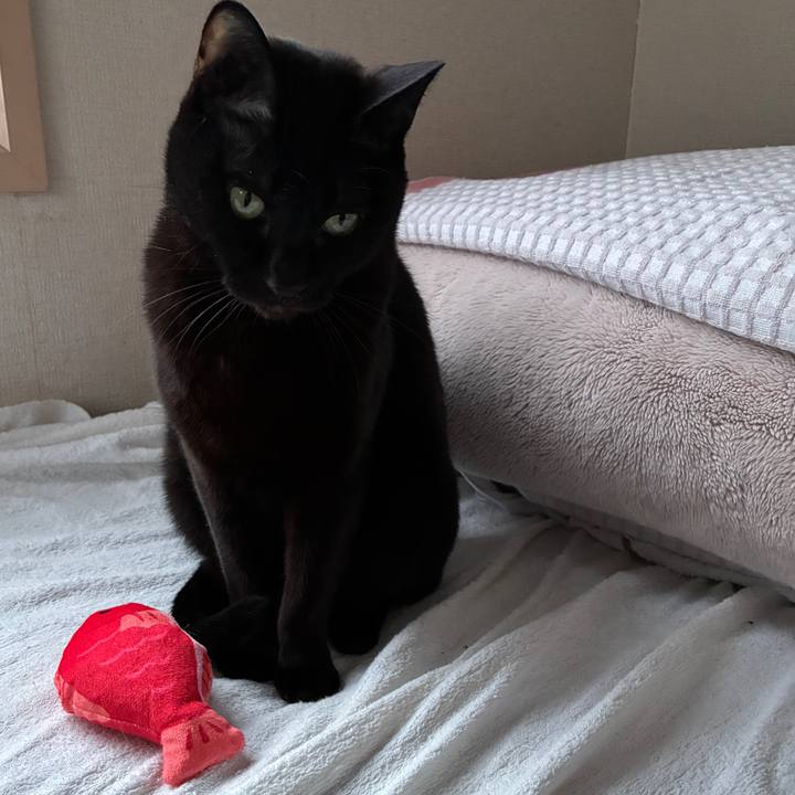 3d51fe50 4b9d 4539 9693 5656cedbb567 1773437286471